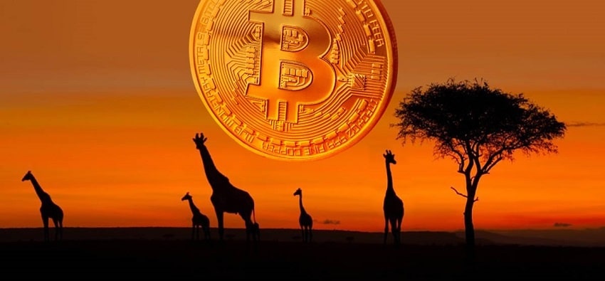 Bitcoin, BTC, Afrique
