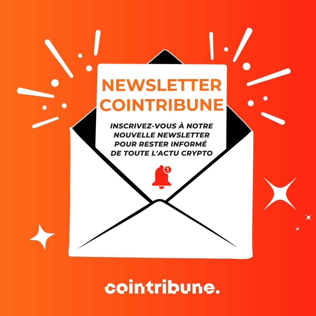 Newsletter 275