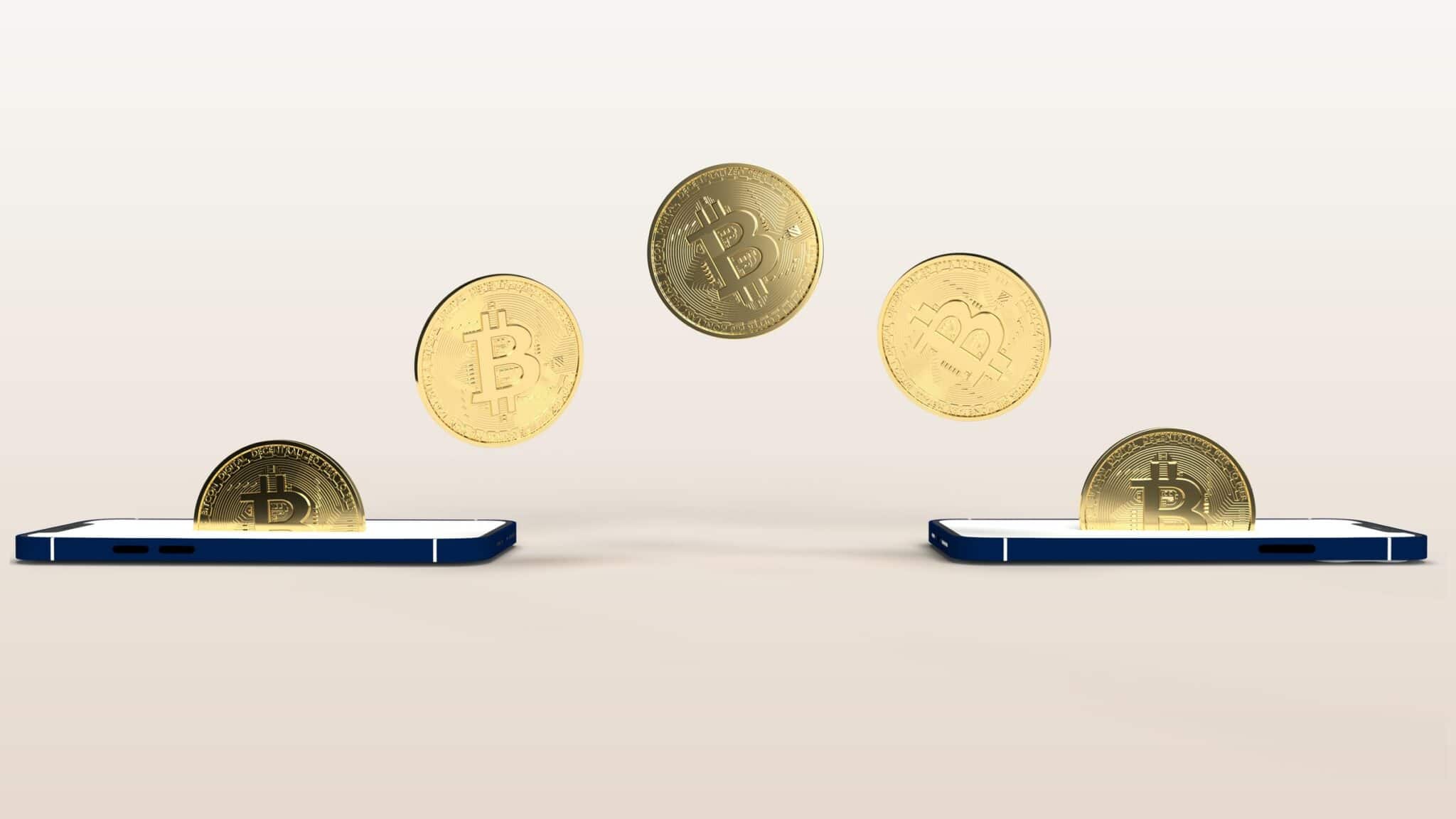 custodial wallet non custodial wallet